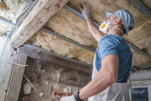 Best Eco-Friendly Insulation in Rossville, KS